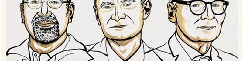 نوبل اقتصاد ۲۰۲۴ به ۳ آمریکایی رسید